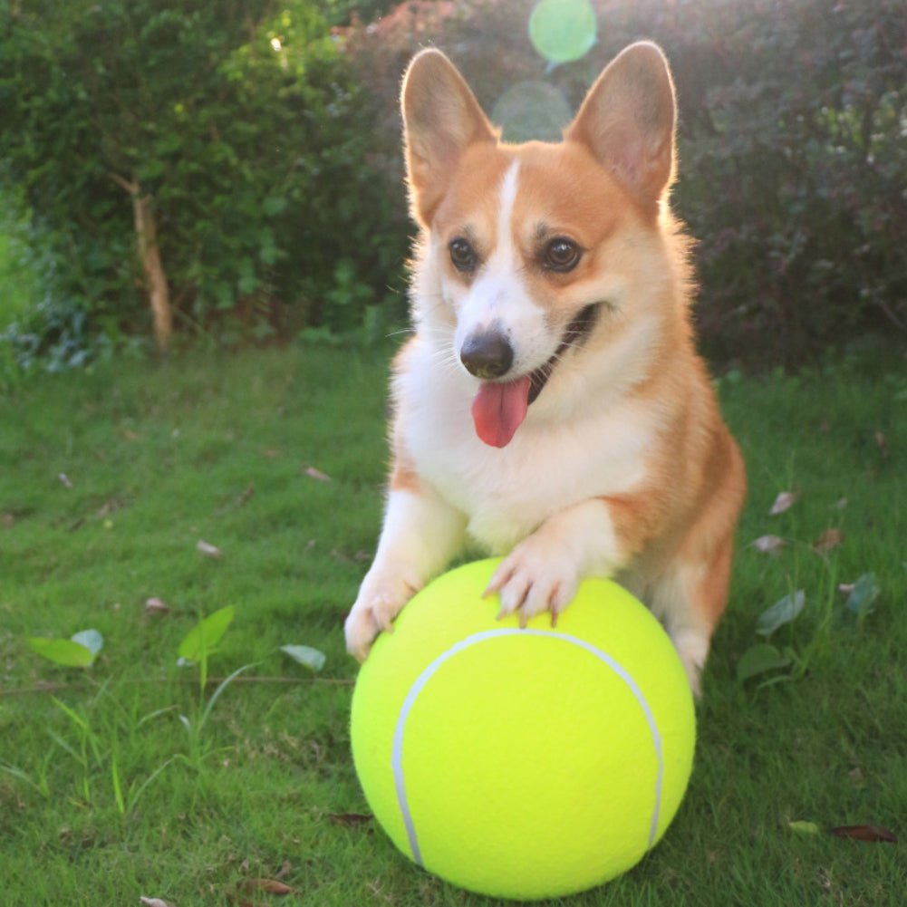 Bigball - Monster-Tennisbälle